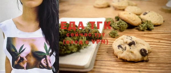 индика Аркадак