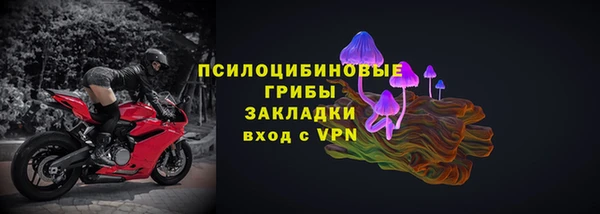 индика Аркадак