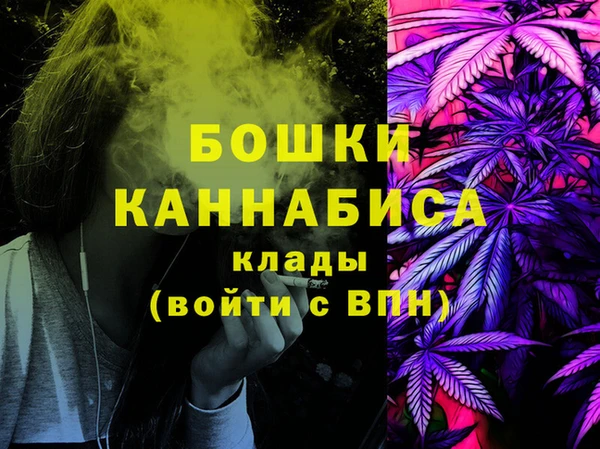 индика Аркадак
