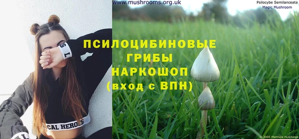 шишки Алексеевка