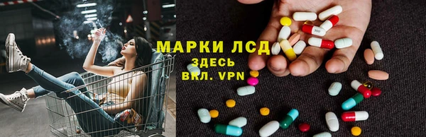 индика Аркадак