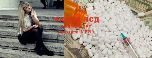 индика Аркадак