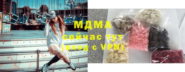 индика Аркадак