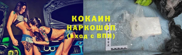 индика Аркадак