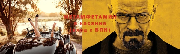 индика Аркадак