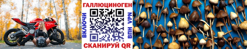 Галлюциногенные грибы ЛСД  дарк нет какой сайт  Удачный 